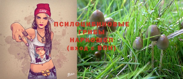 jwh Белокуриха