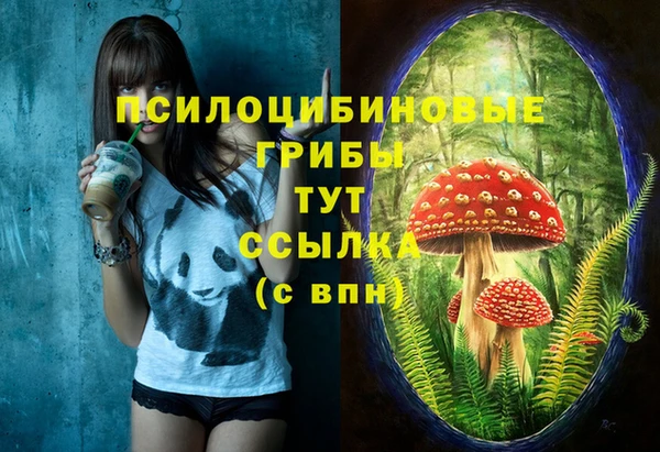 jwh Белокуриха