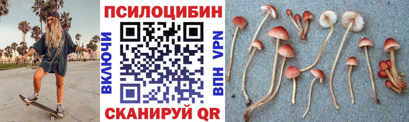 Галлюциногенные грибы прущие грибы  купить наркотик  Краснослободск 